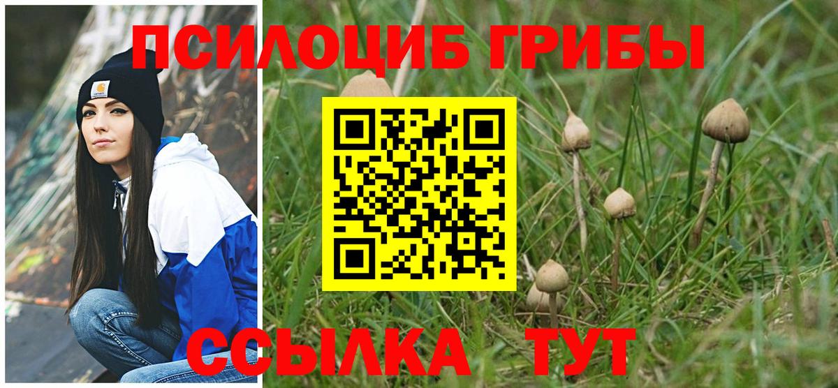 Псилоцибиновые грибы Cubensis Северодвинск