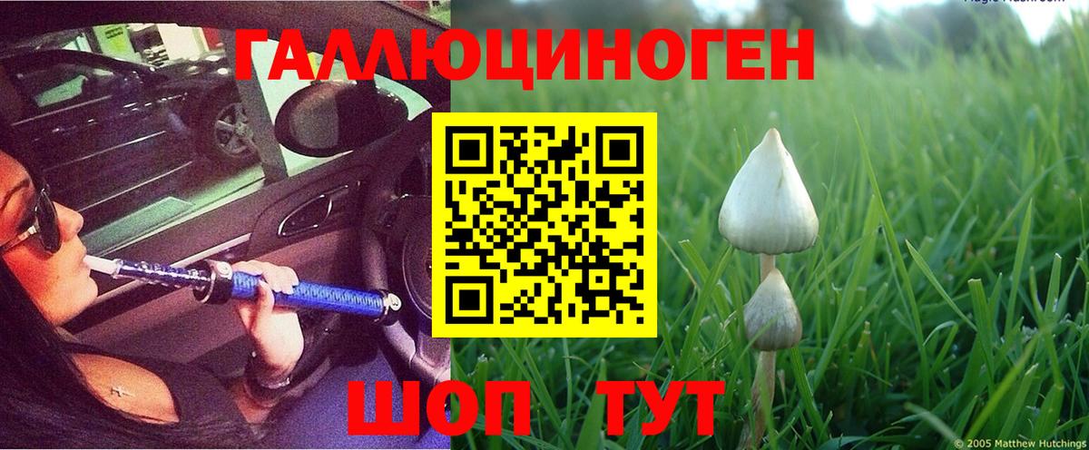Северодвинск  Псилоцибиновые грибы Cubensis  Вход с VPN  Галлюциногенные грибы Psilocybe 